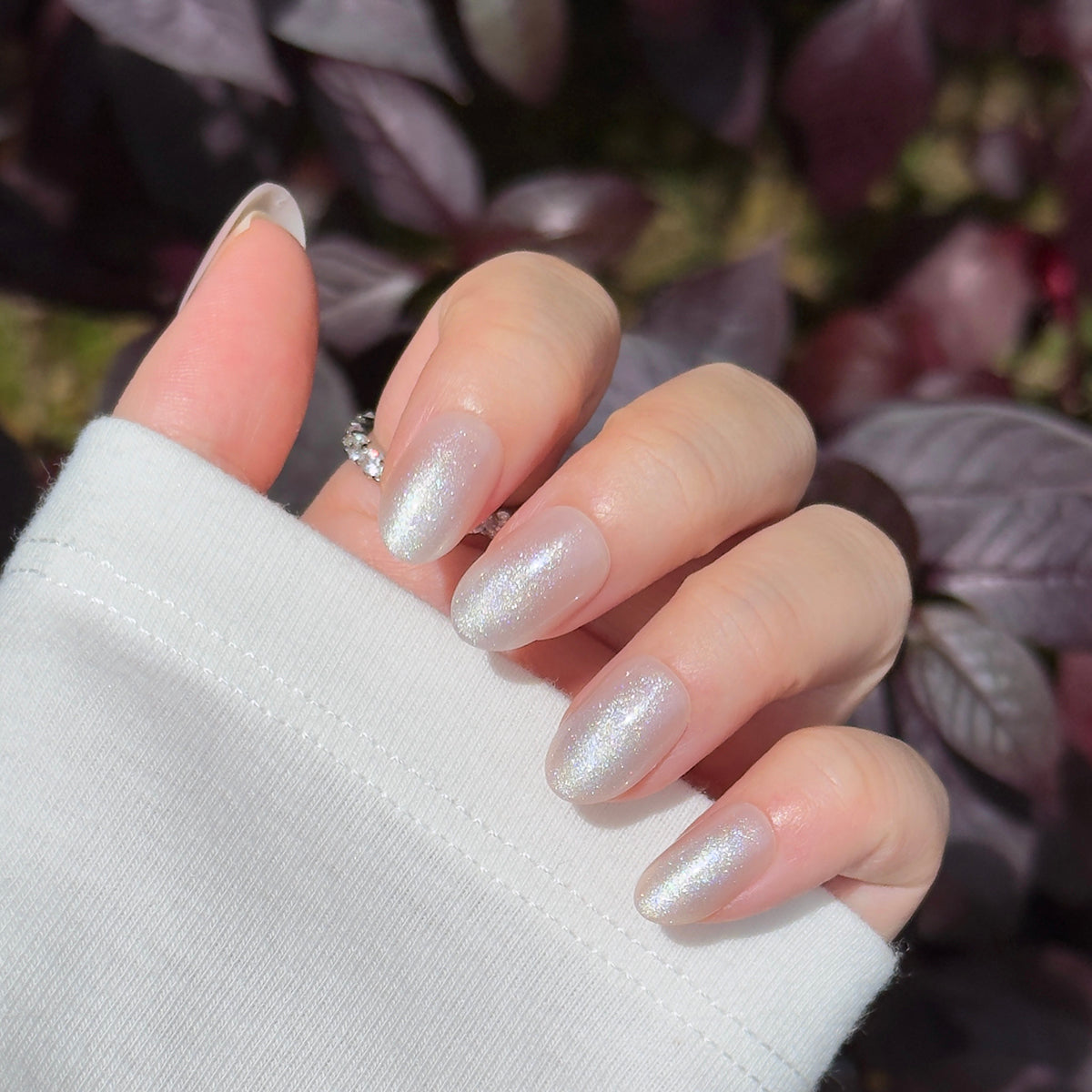 Fairy Dust