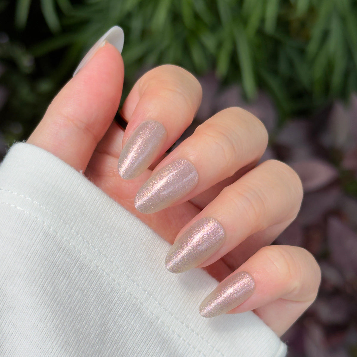 Rosy Glaze