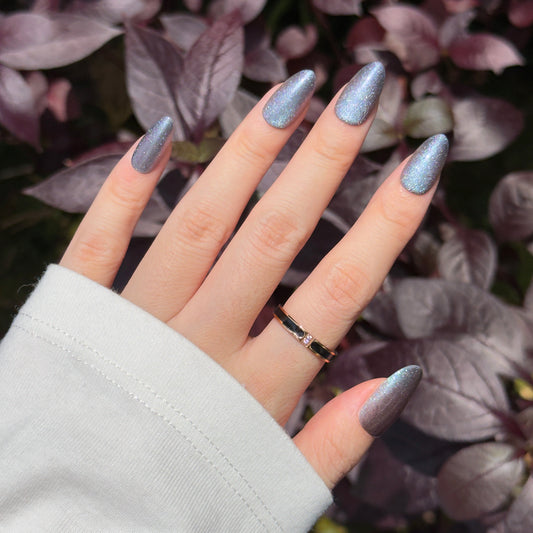 Enchanted